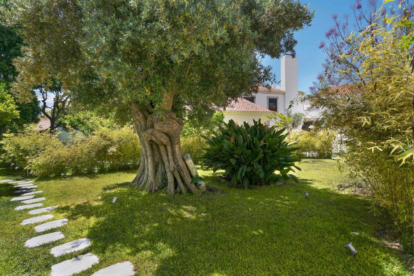 Appartamento Jardim De Copas Alcochete Esterno foto